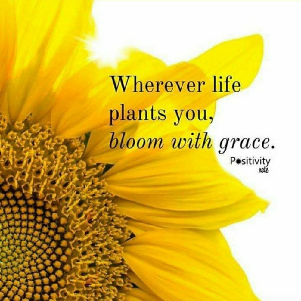 Meet your Posher, Sabrina